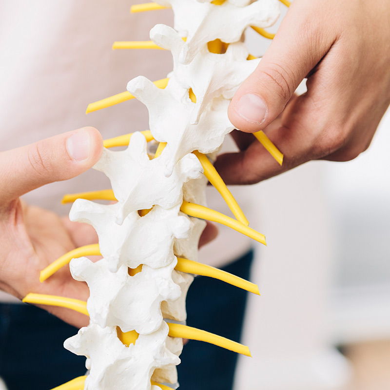 Chirotime Behandlung Subluxation